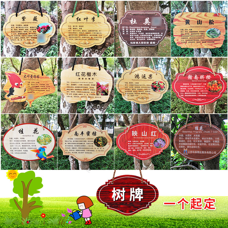 lism 花草牌定制亚克力树牌定做植物标识牌树木介绍挂牌提示牌定制