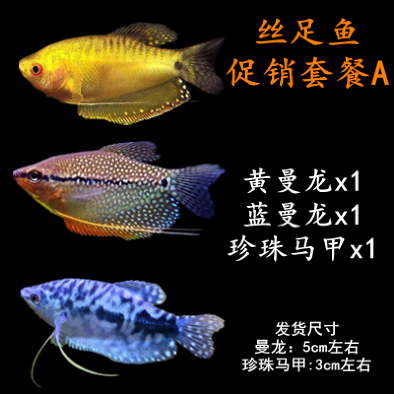 看水族活体历史价格网站|水族活体价格比较