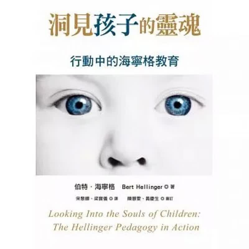 预订台版洞见孩子的灵魂 行动中的海宁格教育 培养孩子创造力少儿趣味