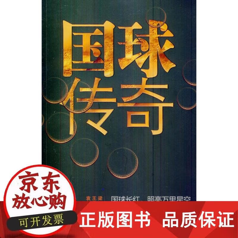 国球传奇 梁言,王鼎华,袁虹衡 著 97