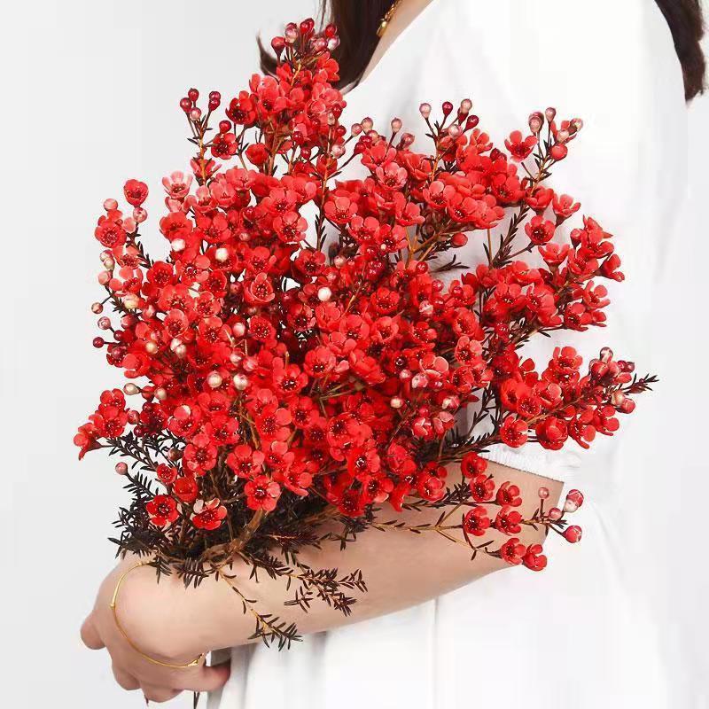 花友澳洲腊梅水培花卉室内水养鲜花旺宅喜庆居家摆放花 红色腊梅一扎