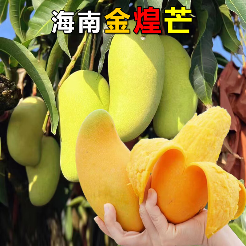 海南应季水果金煌芒果新鲜芒果甜心大芒果 海南金煌芒礼盒装 8斤【4-8