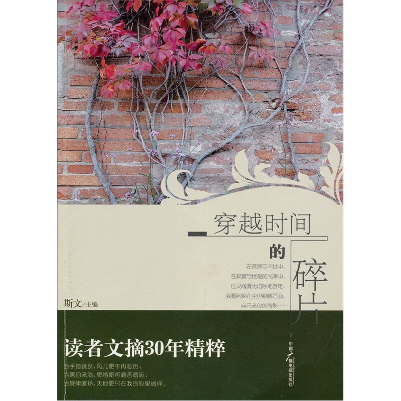 穿越时间的碎片【正版好书】
