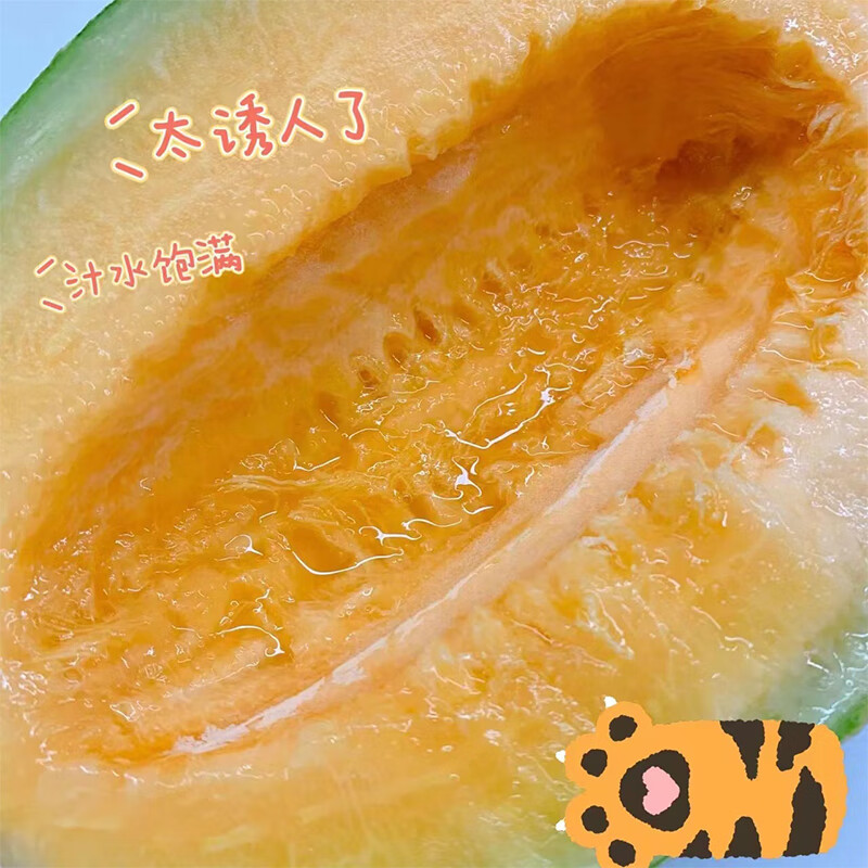 田园东方西州密瓜 应季新鲜水果（按压有弹性再食用） 哈密瓜带箱 5斤装（净重4.5斤）约2个