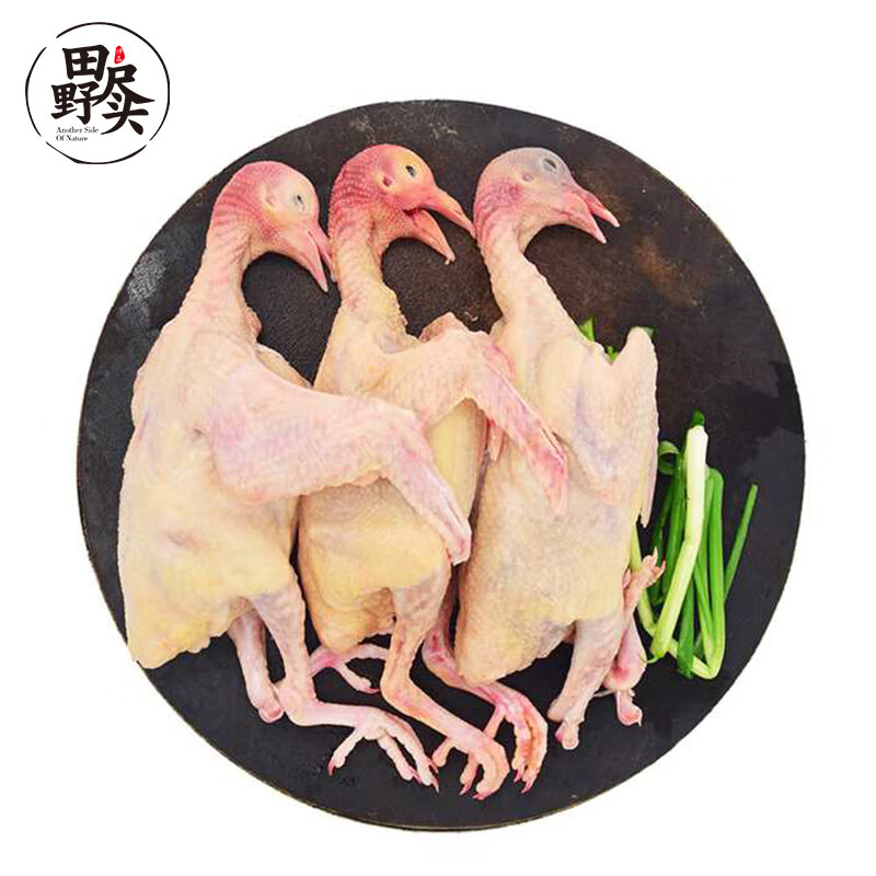 田野尽头（TIANYEJINTOU）乳鸽1kg/3只新鲜鸽子肉 生鲜滋补汤品属于什么档次？