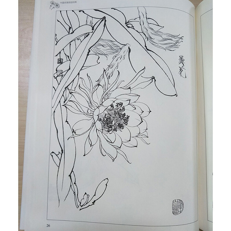 王道中工笔草虫白描 王道中画册 画家王道中 牡丹 昙花 国画教程