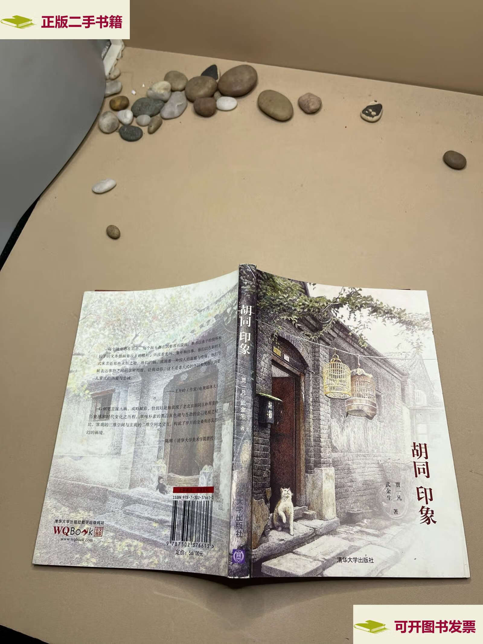 【二手9成新】胡同·印象 /贾一凡 清华大学
