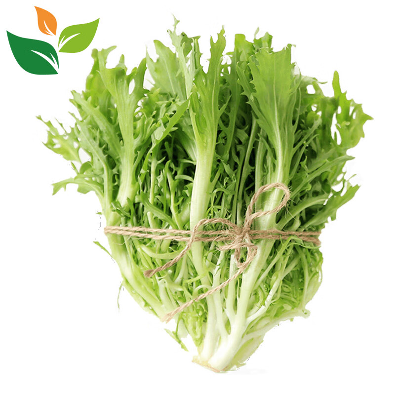 有机苦苣1斤 苦菊 沙拉食材汇有机认证新鲜蔬菜 健康无农残激素 250g