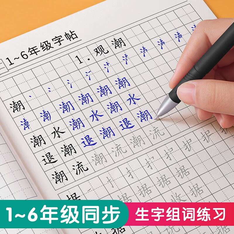 金枝叶小学一年级