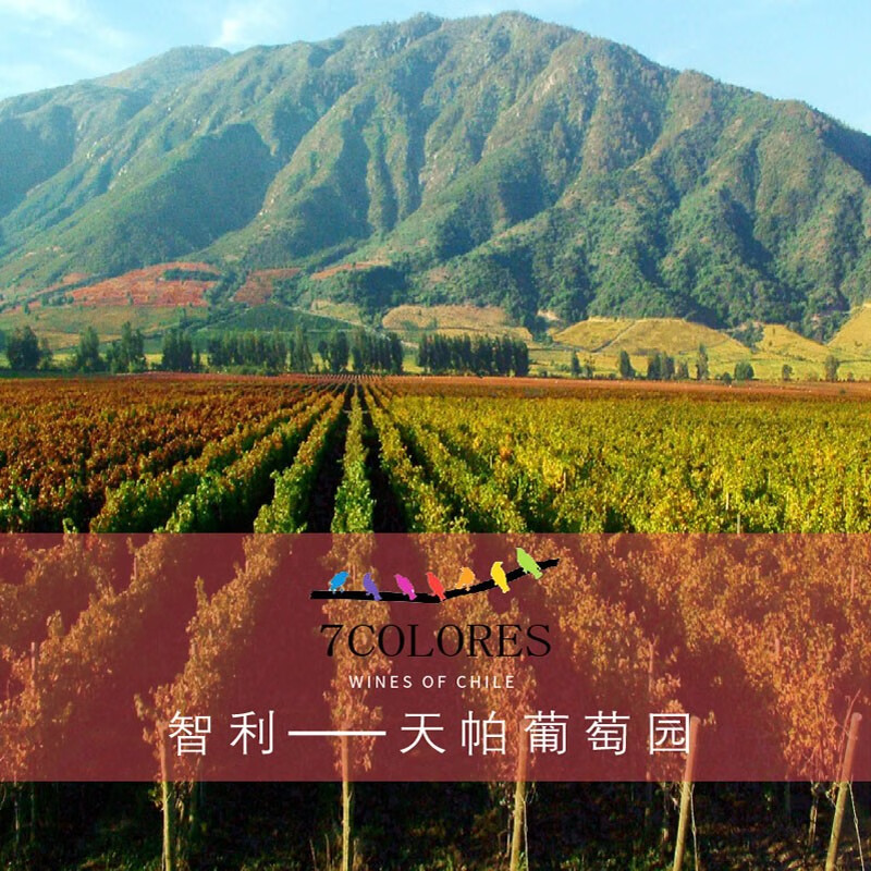 天帕(TENTA)智利中央山谷原瓶进口红酒赤霞珠干红葡萄酒红酒6瓶750ml整箱送礼 【送开瓶器】两瓶装