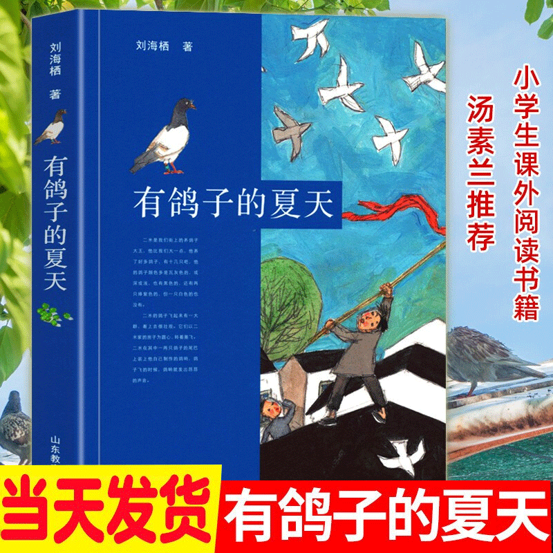 【正版】有鸽子的夏天 刘海栖著 儿童文学小学生课外读物 7-12岁青少年成长励志故事书
