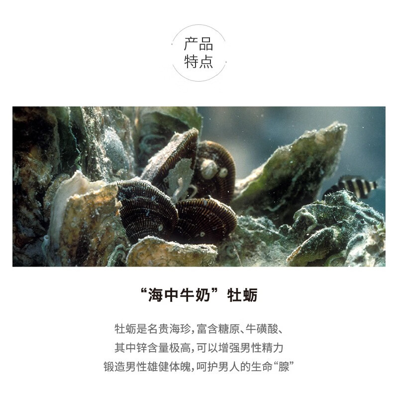 澳乐维他(Enervite)生蚝牡蛎精男性成人延时壮阳增硬促睾酮素补肾送老公健康营养保健 生蚝精30粒*3瓶