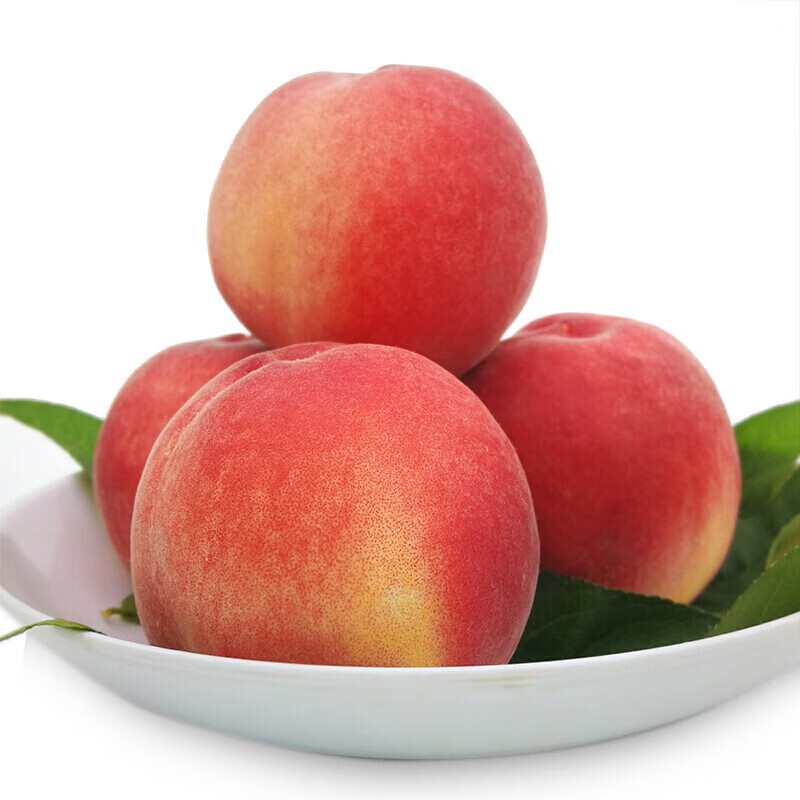 【京鲜配送】正宗北京子水果新鲜水蜜桃脆软甜 8个装(单果4两左右)