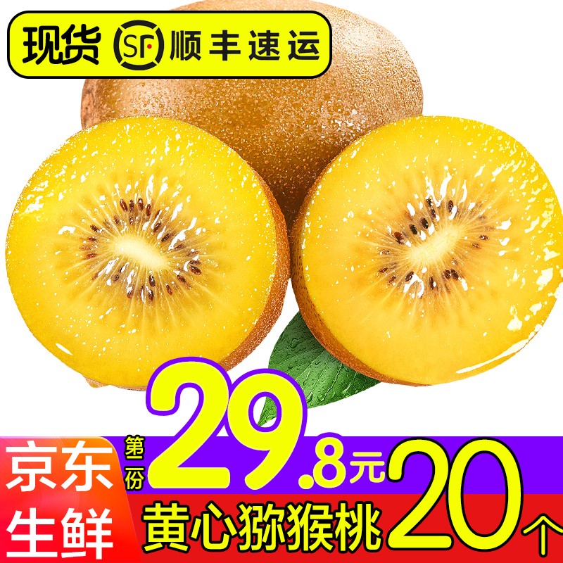 黄心猕猴桃 10个 单果约70-90克 黄金奇异果生鲜金果 新鲜水果 奇异果 猕猴桃 生鲜 水果