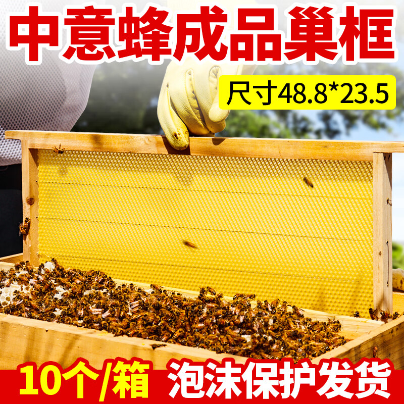 巢框中蜂成品标准意蜂杉木带框巢础蜂箱蜜蜂专用蜂具养蜂蜂大哥 中蜂