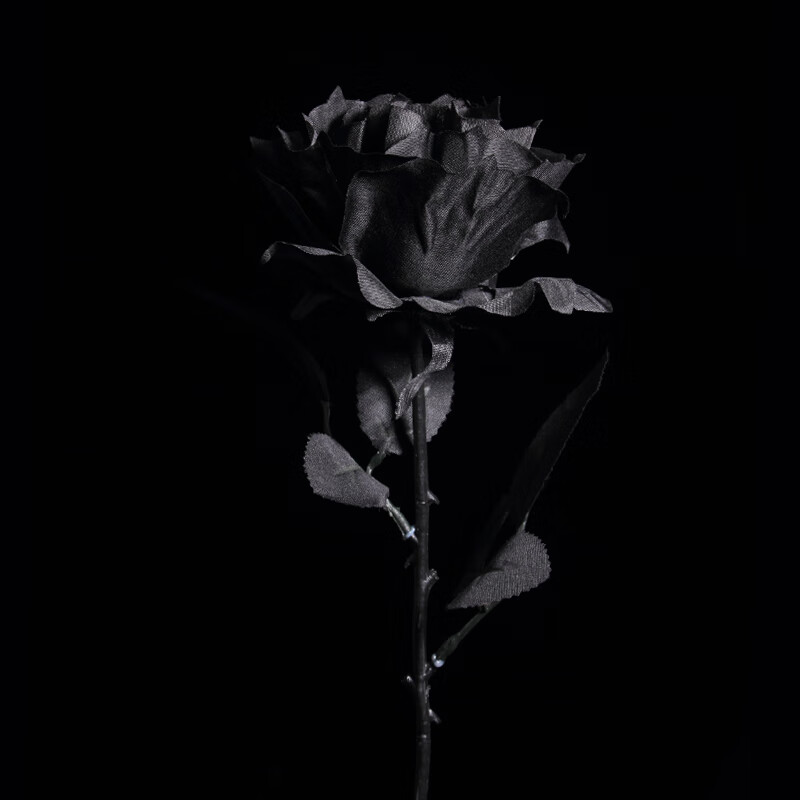 元井汇黑色仿真玫瑰花 黑暗风写真拍照摄影道具 哥特黑玫瑰假花花束