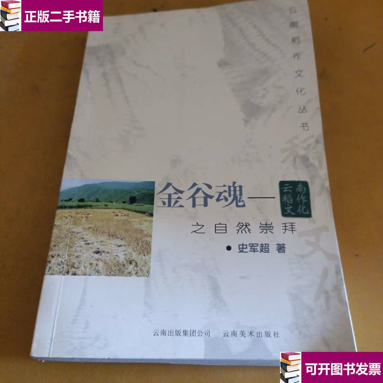 【二手9成新】金谷魂 云南稻作文化之自然崇拜 /史军超 云南美术