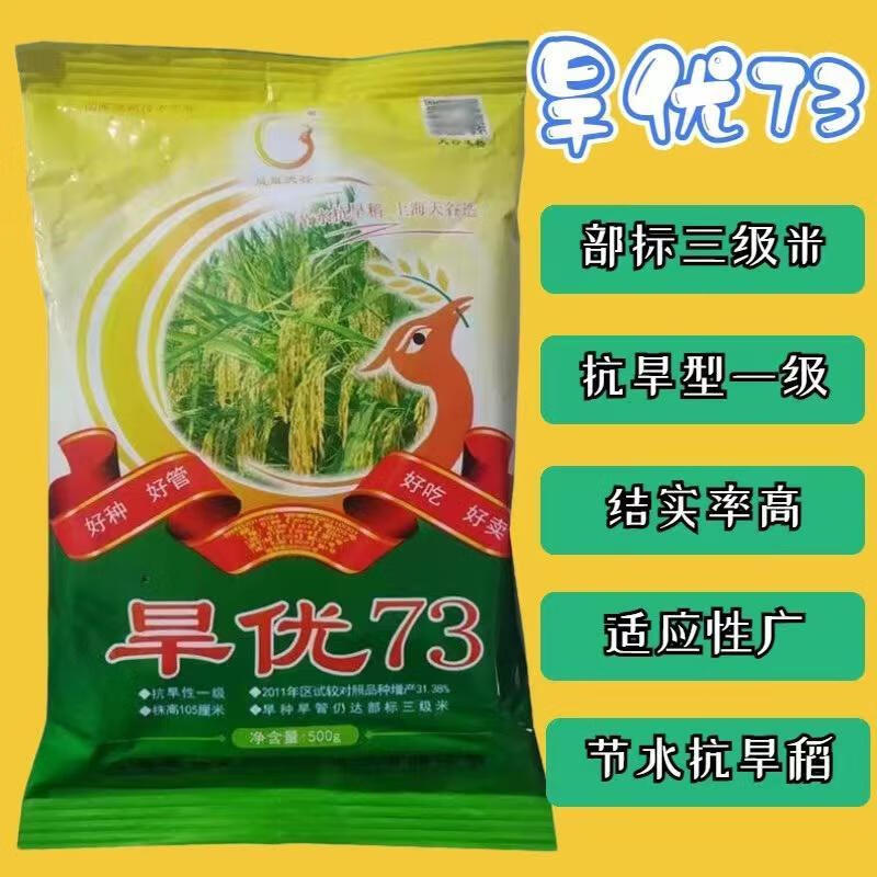细辛水稻种子旱优73水旱两用旱地山地可种好种好管好吃好卖产 旱优73