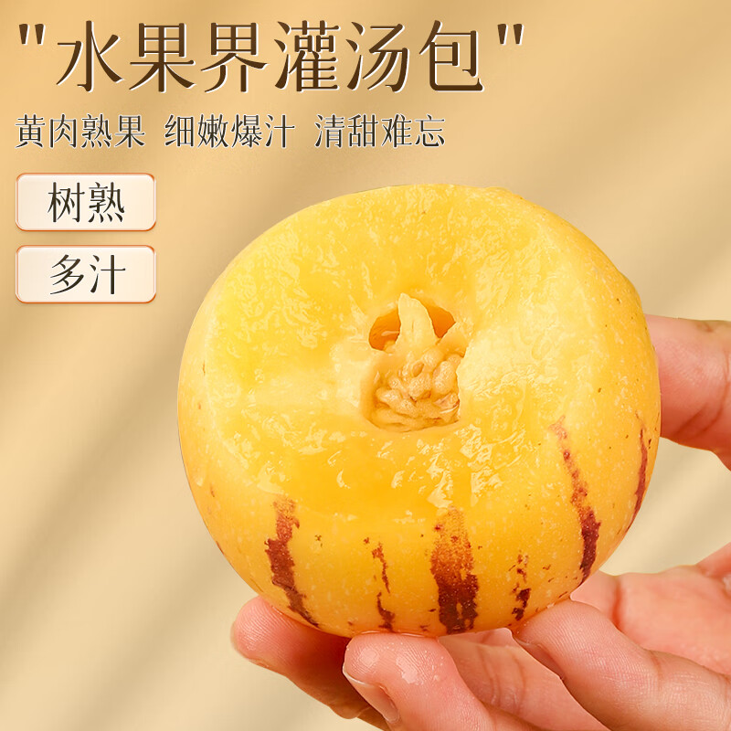 译蒙之味云南人参果礼盒装送礼佳品新鲜人参果黄果树上熟圆果特产 净重5斤果王【单果110g+】礼盒 精美礼盒