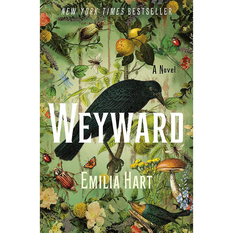 Weyward Emilia Hart 英文原版 外国文学小说