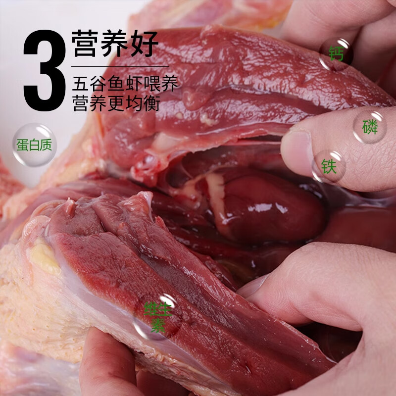 颐乡情现杀农家散养新鲜鸭肉生鲜白条鸭冷冻整只樱桃谷鸭大白鸭老土鸭子 农家仔鸭2只【净2斤1只】+料包+人参