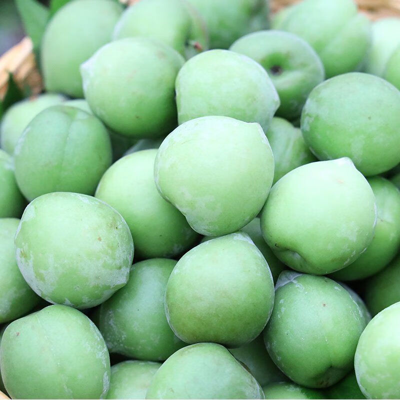 青梅果新鲜现摘酸梅子水果泡酒专用青梅鲜果酵素大果 青梅1斤【高山