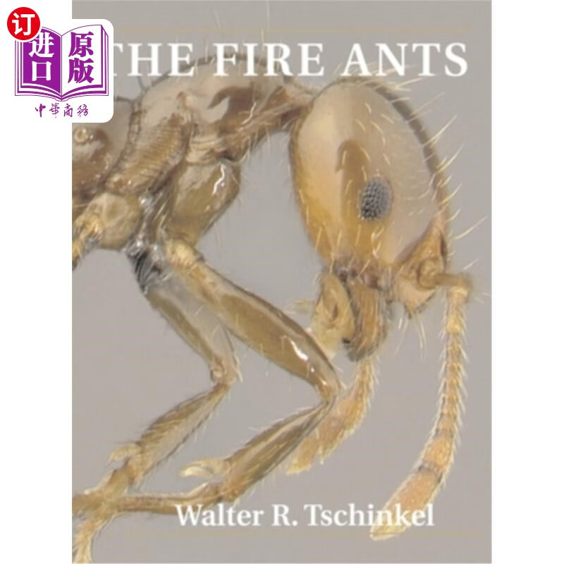 海外直订the fire ants 火蚁