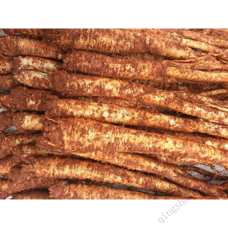 云南臭参特产新鲜人参小人参臭参臭云参地参蔬菜500g 菜500g