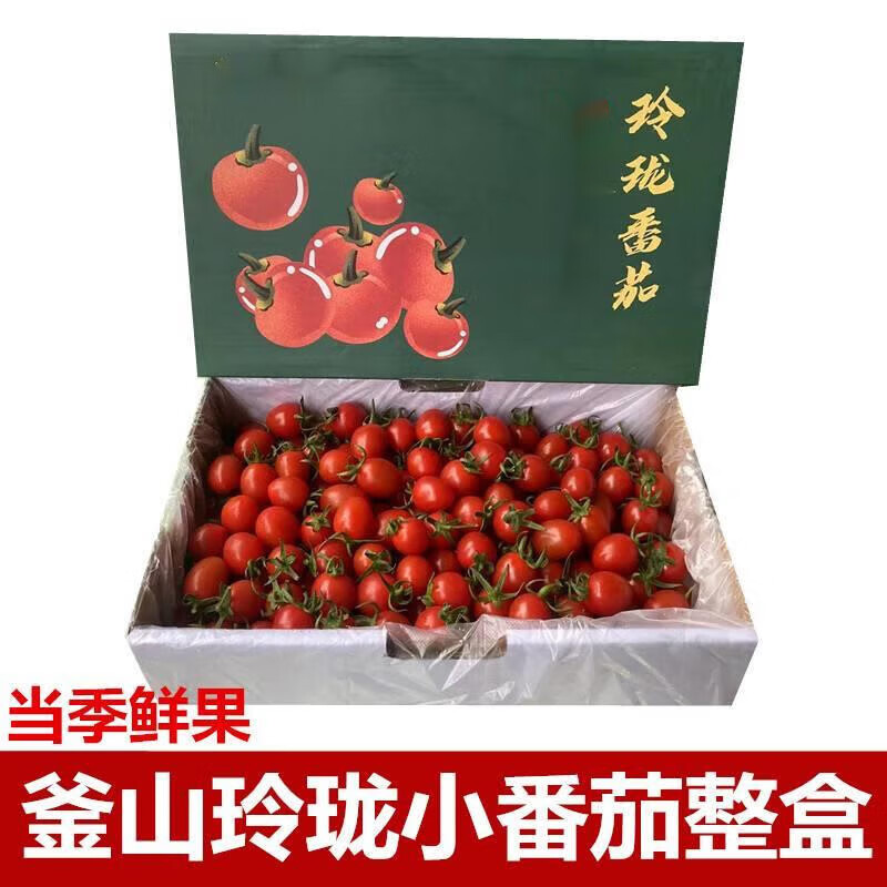 漫步山野正宗海南圣女果新鲜现摘玲珑千禧果小番茄小西红柿水果礼盒