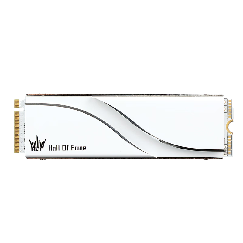 GALAXY 影驰 名人堂HOF PRO/EX M.2 PCIe4.0 2280 1T 台式机SSD固态硬盘