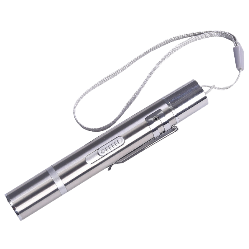 聚创麒 猫玩具激光笔逗猫棒USB充电 逗猫神器 升级款(USB充电)-银色