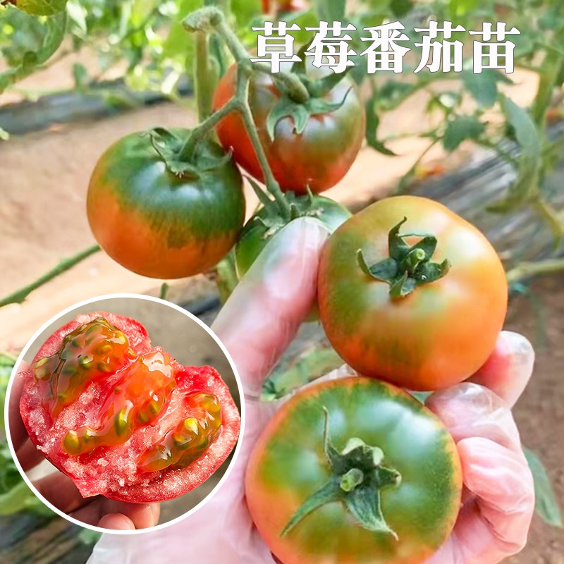 蔬菜类历史价格走势图|蔬菜类价格比较