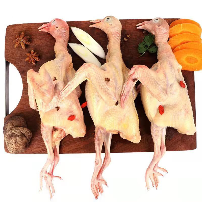 鸽子新鲜农家土鸽乳鸽飞鸽鸽子肉新鲜现杀 腾旺纳跃 二只【柴鸽大补】