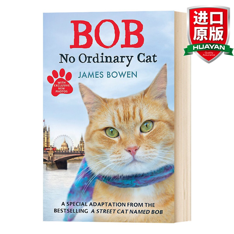 英文原版 鲍勃 不是普通的猫 Bob No Ordinary Cat James Bowen 全英文版