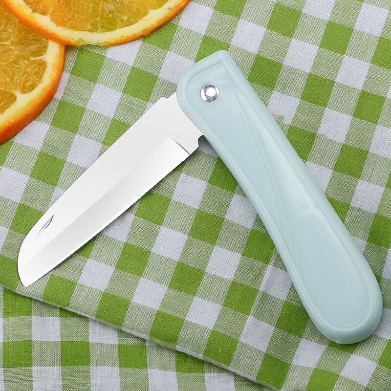 用家用多功能瓜果小刀削皮神器便携随身迷你水果刀 折叠-1把浅蓝色