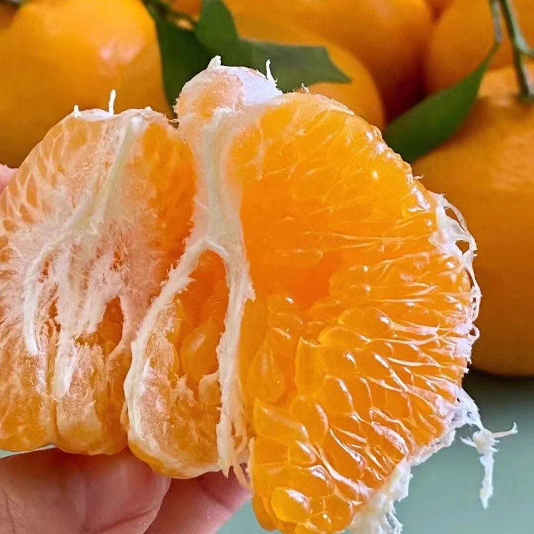 鲜宝道四川春见耙耙柑新鲜水果整箱 5斤特大果80-85mm+净重4.5