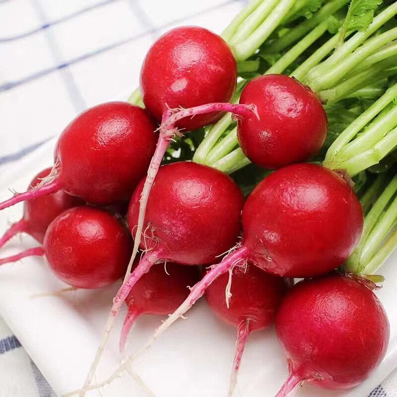 樱桃小萝卜 新鲜水果甜脆东北特产小红丁蘸酱菜 2斤装