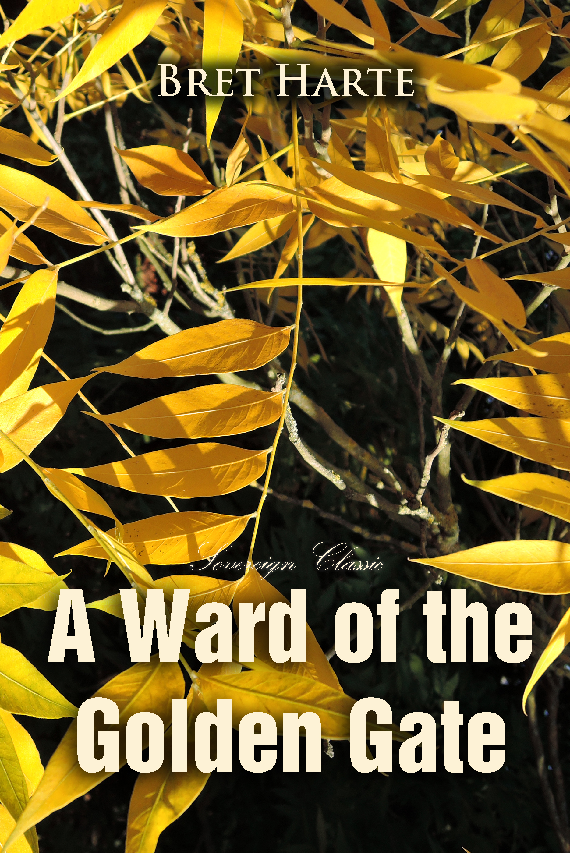 a ward of the golden gate