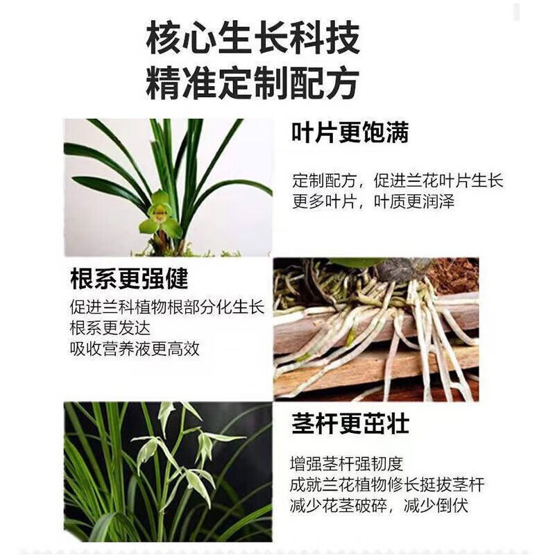 兰花专用营养液叶黑黄斑枯叶焦尖促开花兰花多箭素兰花肥料专用肥 1瓶装【500ml】