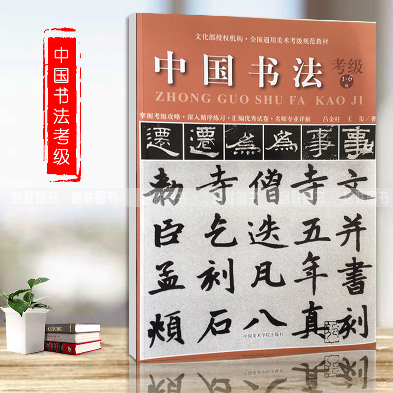 编中国美术学院文化部授权机构全国通用美术考级规范教材考试大纲及