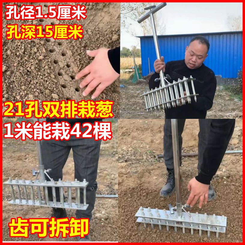 葱种大葱工具栽葱打洞器种菜洋葱栽苗叉子 21孔双排栽葱工具(株距5cm)
