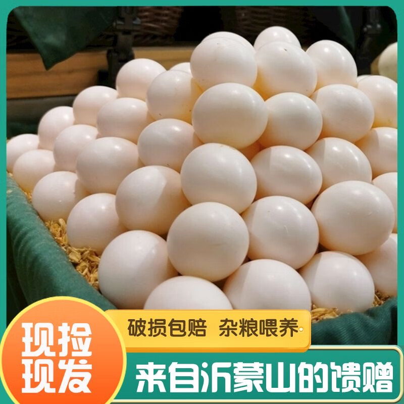 沂鲜新鲜鸽子蛋正宗五谷杂粮散养信鸽蛋30枚孕妇宝宝农家初生蛋礼盒装 鸽子蛋30枚