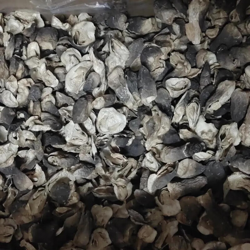 望蓝川精品草菇干蘑菇兰花菇包脚菇云南茅草菌干货菌汤包食用菌煲汤