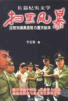 扫黑风暴 李宏林