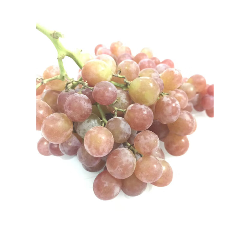 源外园智利慕斯卡葡萄muscat 3斤装慕美人香水葡萄香味独特提子顺丰