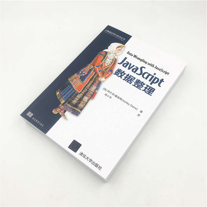 JavaScript数据整理/大数据应用与技术丛书
