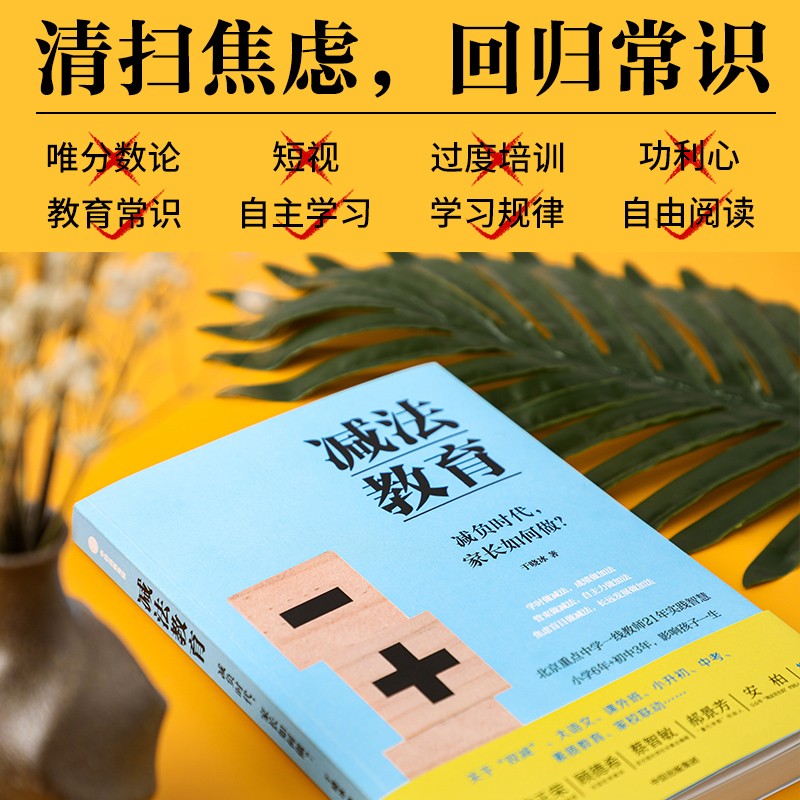 自营 减法教育：清醒的父母，懂得找方法 重点中学一线教师写给中国家长的真心话 中信出版社详情图