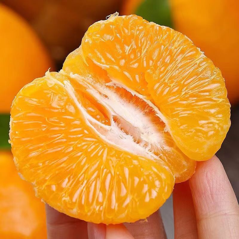 金百粟四川春见耙耙柑 当季新鲜水果粑粑柑生鲜丑桔橘子现摘整箱 净重4.5斤【80mm+】果农精选送礼