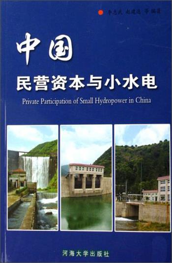 中国民营资本与小水电【正版开发票】