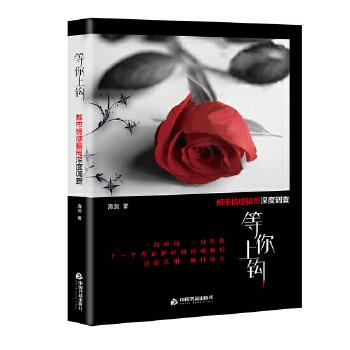 等你上钩:都市情感骗局深度调查 海剑 9787506871556【正版】